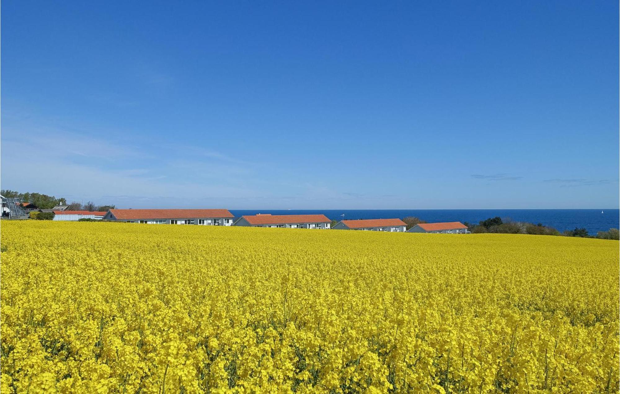 Nice Apartment In Allinge With House Sea View Buitenkant foto